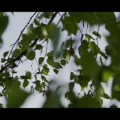 Видеограф Валерий Сурвило, Гродно - фото 2