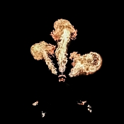 Robert Mikhailiuk, Гродно - фото 3