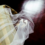 Фотограф Светлана Гайда, Гродно - фото 1