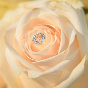 Фотограф Светлана Гайда, Гродно - фото 3