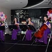 Брюнет Квартет, Гродно - фото 1